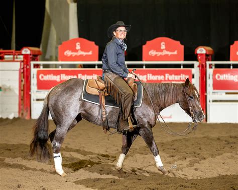 Cutting horses for sale - Sorrel. Height (hh) 15.1. Starlight and Chayenne Two AQHA registered quarter horse mares. They are both retired cutting horses and love chasing cows. Super easy going and gentle…. View Details. $2,000. 